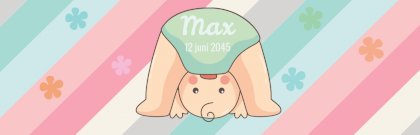 Geboortebanner "Retro baby" Geboortebanner "Retro baby"