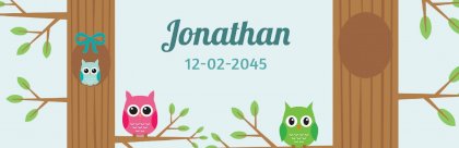 Fotobanner "uiltjes op een tak" Fotobanner "uiltjes op een tak"