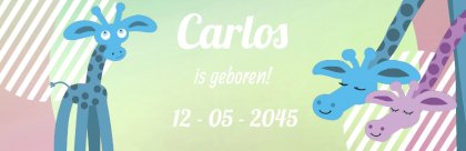 Banner "Retro giraffe" Banner "Retro giraffe"