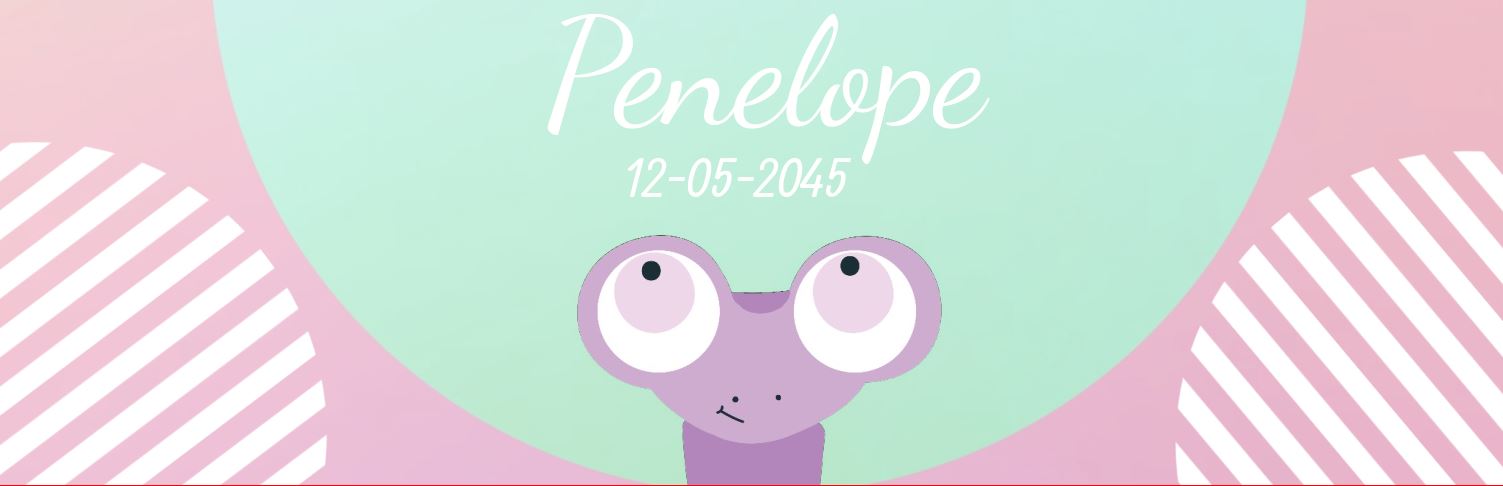 Geboortebanner "Baby kikker" Geboortebanner "Baby kikker"