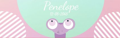 Geboortebanner "Baby kikker"