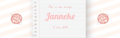 Geboorte banner met roze beschuit