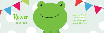 Geboorte banner met  kikker en vlaggetjes