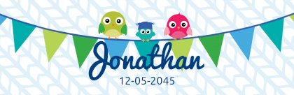 Geboortebanner "Vogeltjes op vlaggenlijn" blauw