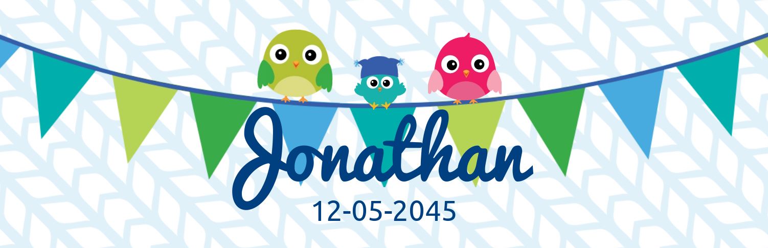 Geboortebanner "Vogeltjes op vlaggenlijn" blauw Geboortebanner "Vogeltjes op vlaggenlijn" blauw