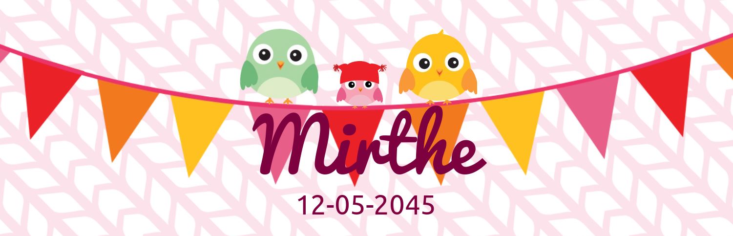 Geboortebanner "Vogeltjes op vlaggenlijn" roze Geboortebanner "Vogeltjes op vlaggenlijn" roze