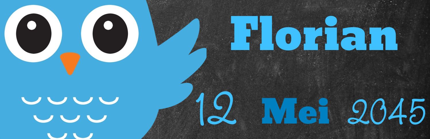 Geboorte banner met uil op een krijt achtergrond Geboorte banner met uil op een krijt achtergrond