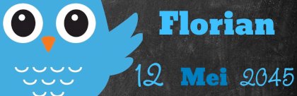 Geboorte banner met uil op een krijt achtergrond Geboorte banner met uil op een krijt achtergrond