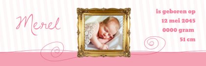 Foto geboortebanner "In the picture - roze" Foto geboortebanner "In the picture - roze"