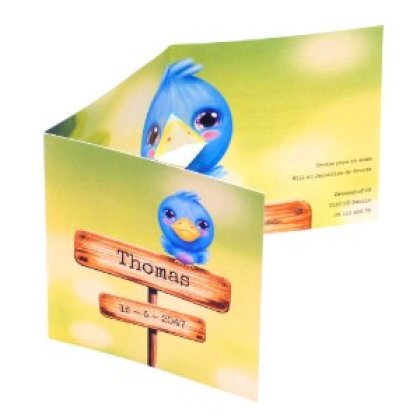 Drieluik kaart met blauw vogeltje