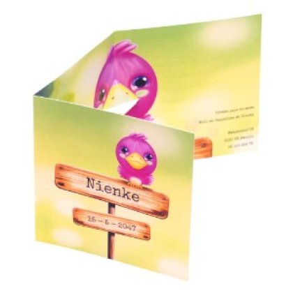 Drieluik kaart "Vogeltje roze"