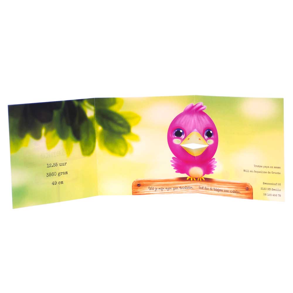 Drieluik kaart "Vogeltje roze" Drieluik kaart "Vogeltje roze"