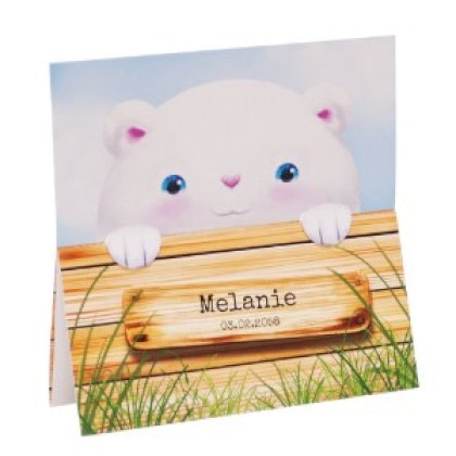 Geboortekaart met lief beertje achter de schutting Geboortekaart met lief beertje achter de schutting