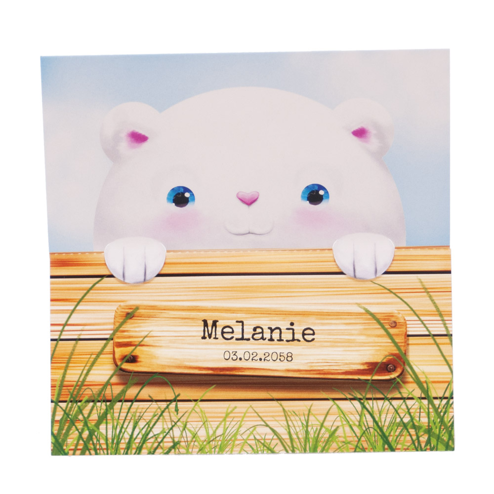 Geboortekaart met lief beertje achter de schutting Geboortekaart met lief beertje achter de schutting