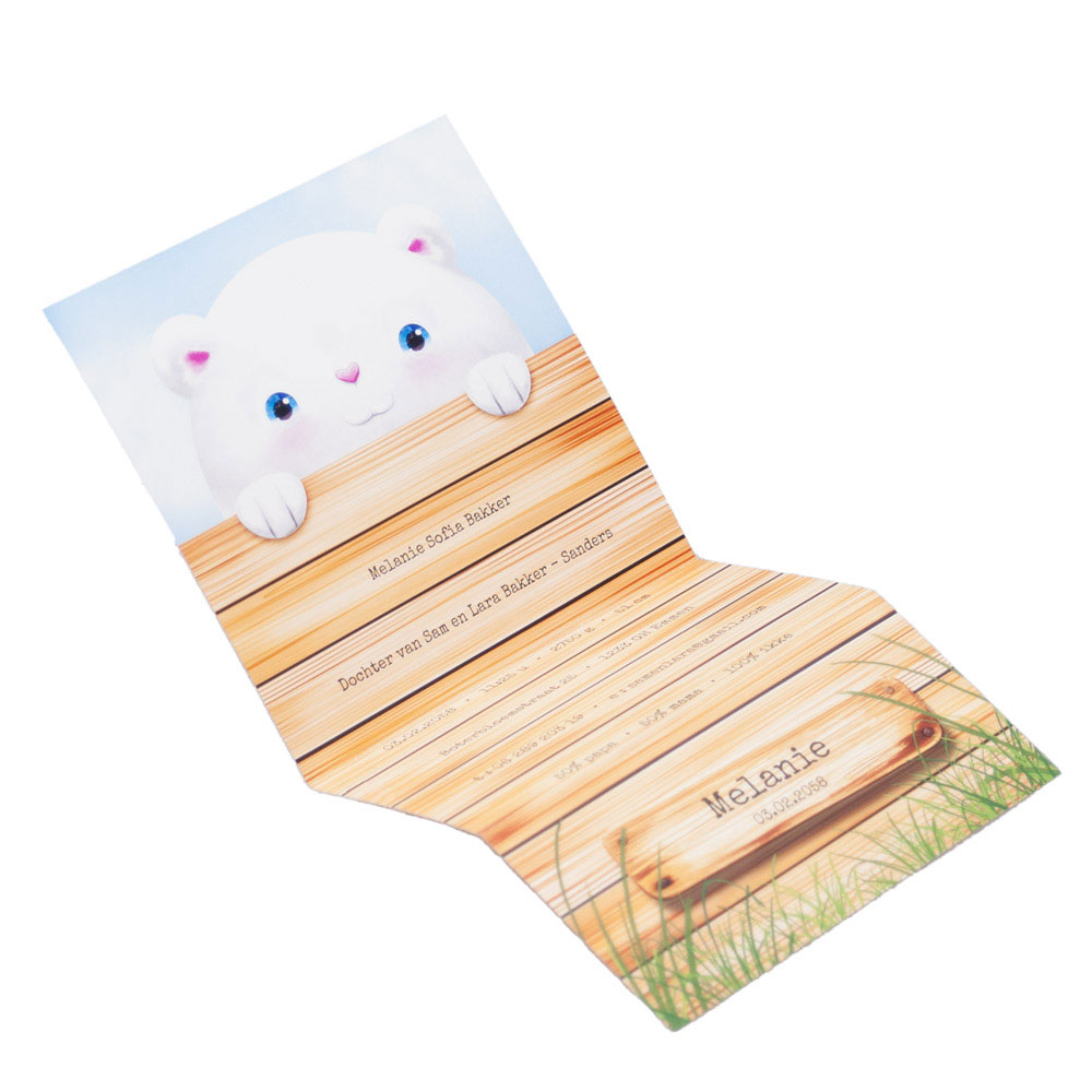 Geboortekaart met lief beertje achter de schutting Geboortekaart met lief beertje achter de schutting