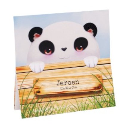 Gestanst geboortekaartje "Panda achter hekje"