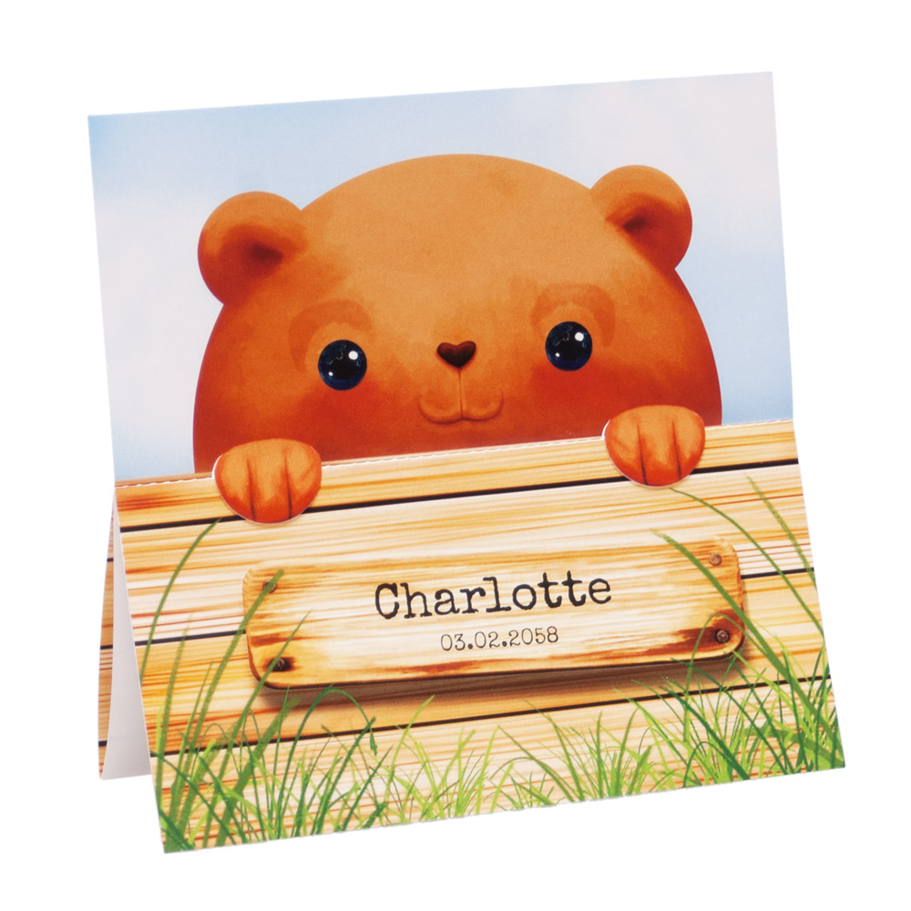 Gestanst geboortekaartje "Beertje achter hekje" Gestanst geboortekaartje "Beertje achter hekje"