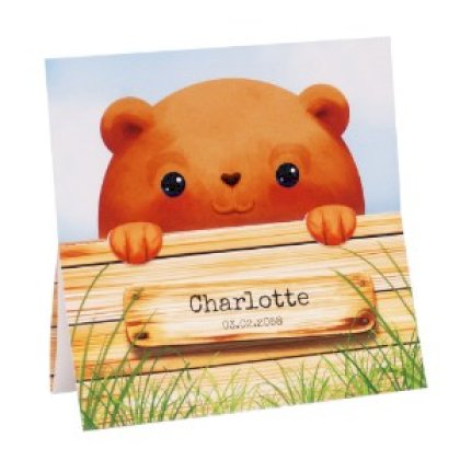 Gestanst geboortekaartje "Beertje achter hekje"