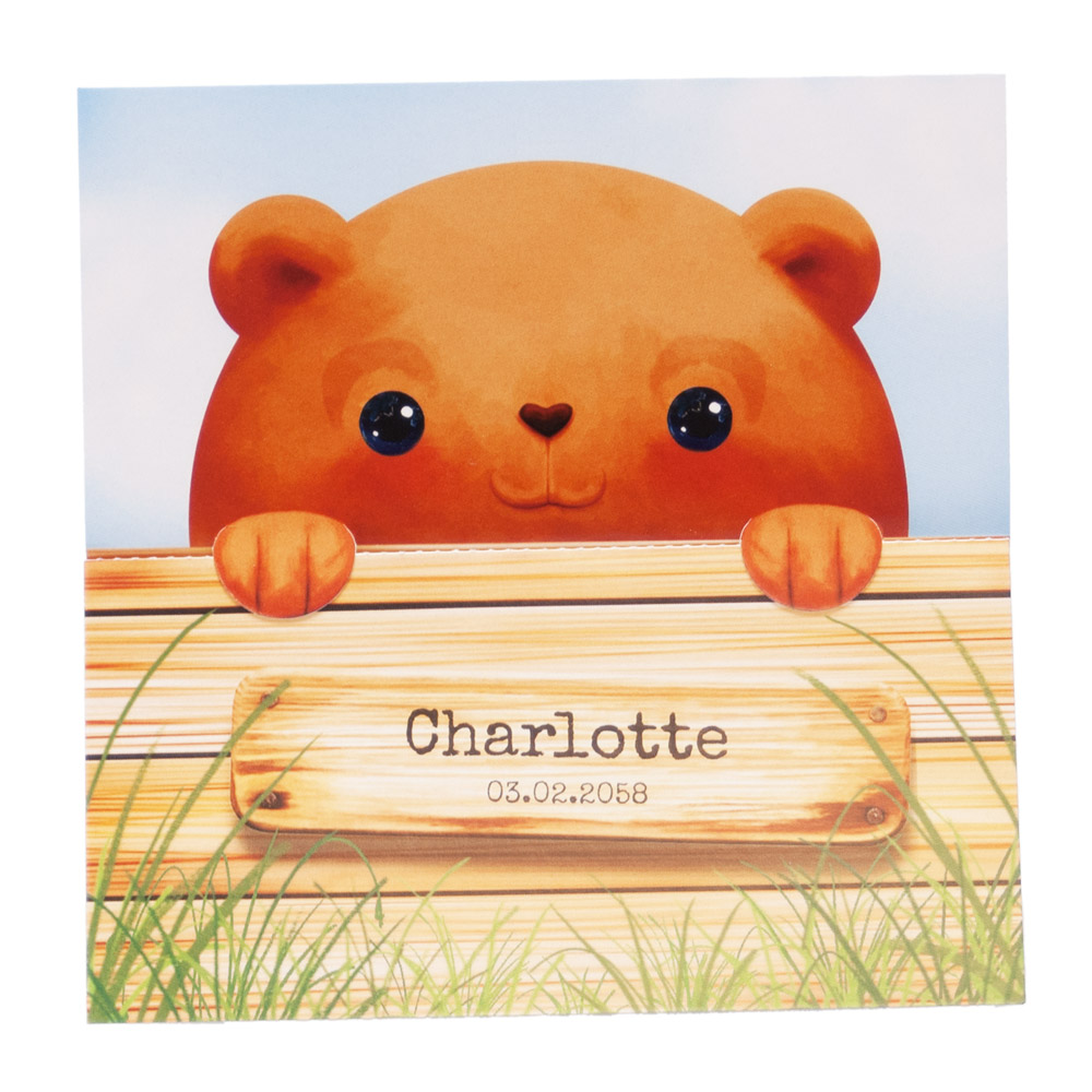 Gestanst geboortekaartje "Beertje achter hekje" Gestanst geboortekaartje "Beertje achter hekje"