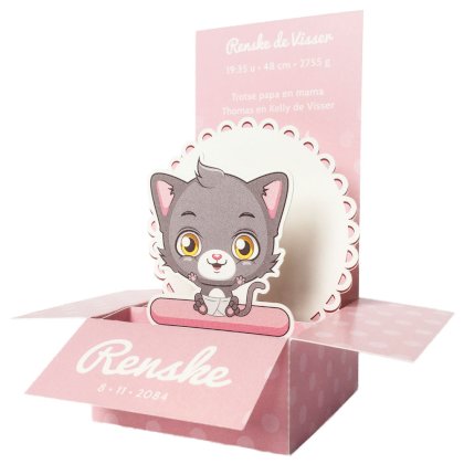 Pop up doosje "Poesje"