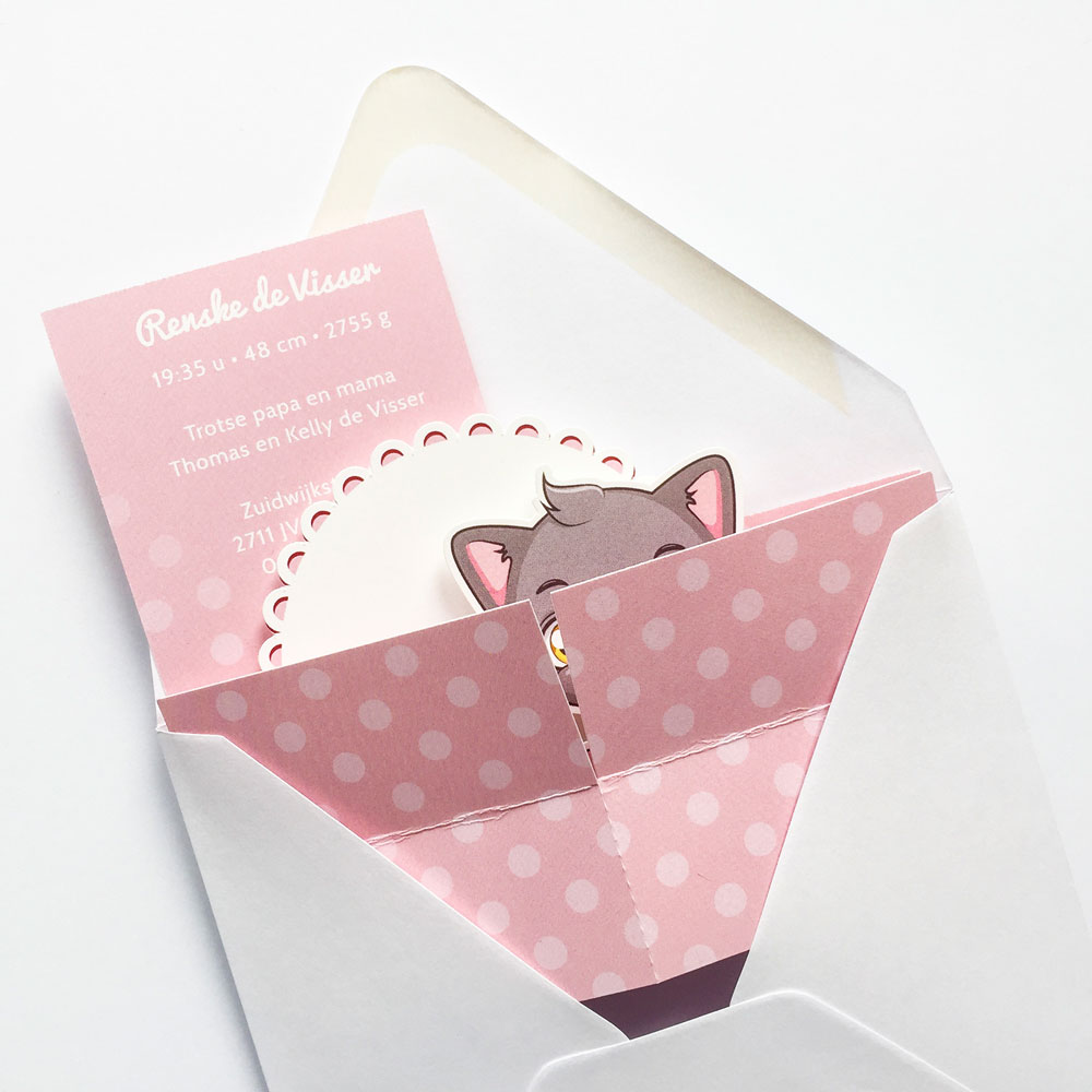 Pop up doosje "Poesje" Pop up doosje "Poesje"