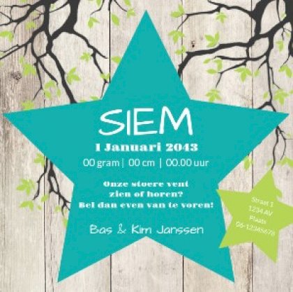 Puzzelkaart ster op hout