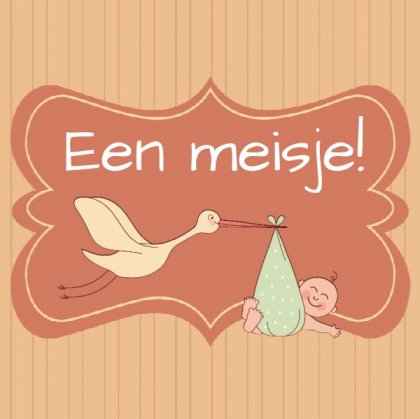 Geboortekaartje met baby en ooievaar in kader