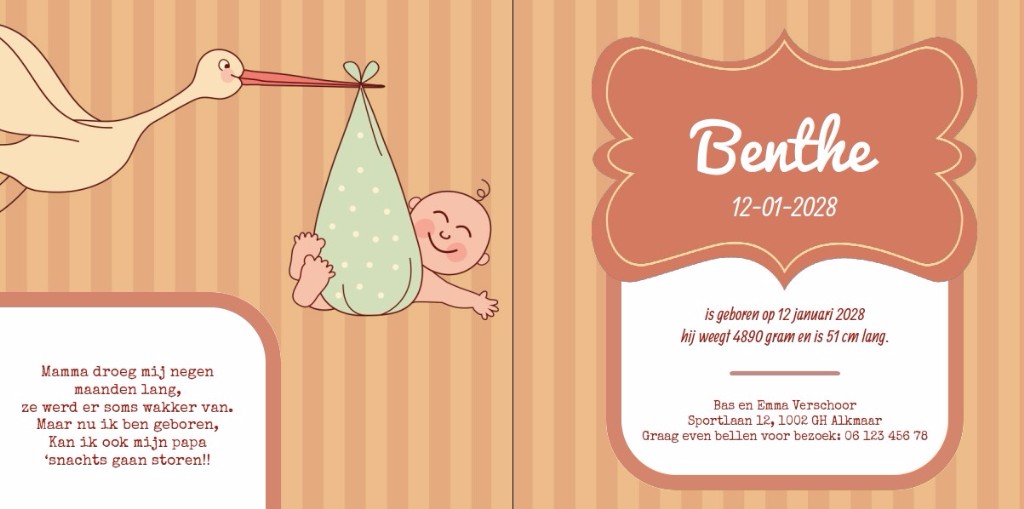 Geboortekaartje met baby en ooievaar in kader Geboortekaartje met baby en ooievaar in kader