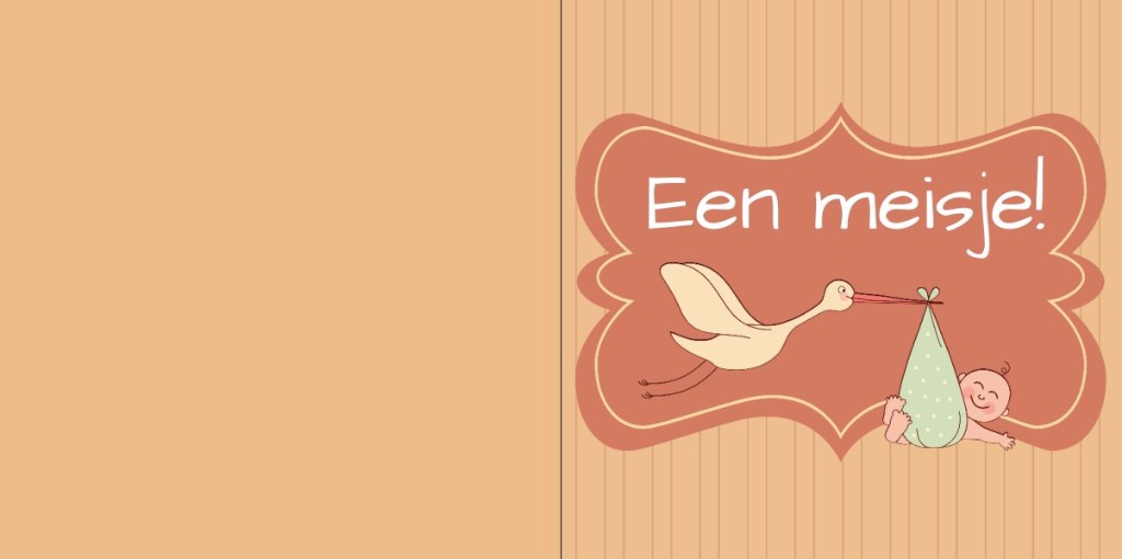 Geboortekaartje met baby en ooievaar in kader Geboortekaartje met baby en ooievaar in kader