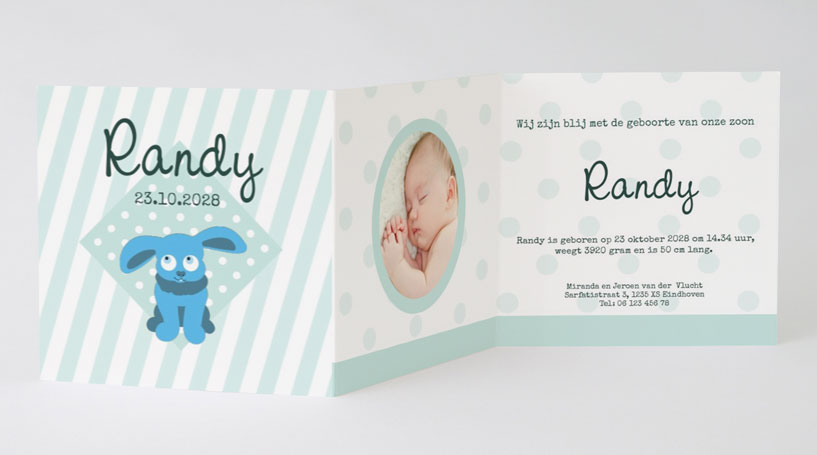 Drieluik fotokaart "Blauw konijntje" Drieluik fotokaart "Blauw konijntje"