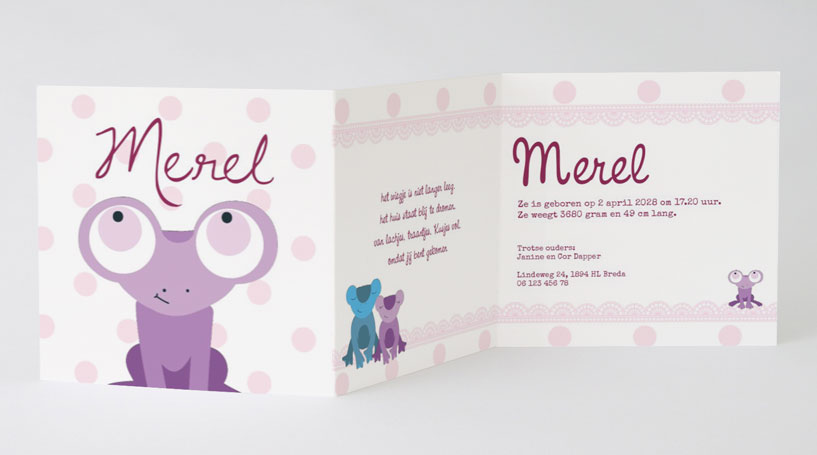 Drieluik kaart "Kikker - paars" Drieluik kaart "Kikker - paars"