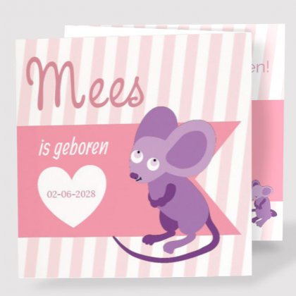 Drieluik kaart "Muisjes" Drieluik kaart "Muisjes"