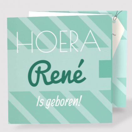 Drieluik kaart "Strepen & Mintgroen"