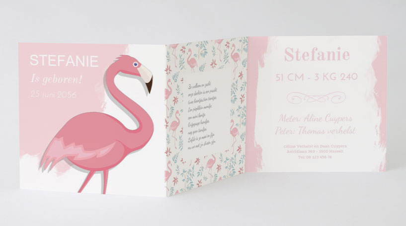 Drieluik kaart "Flamingo" Drieluik kaart "Flamingo"