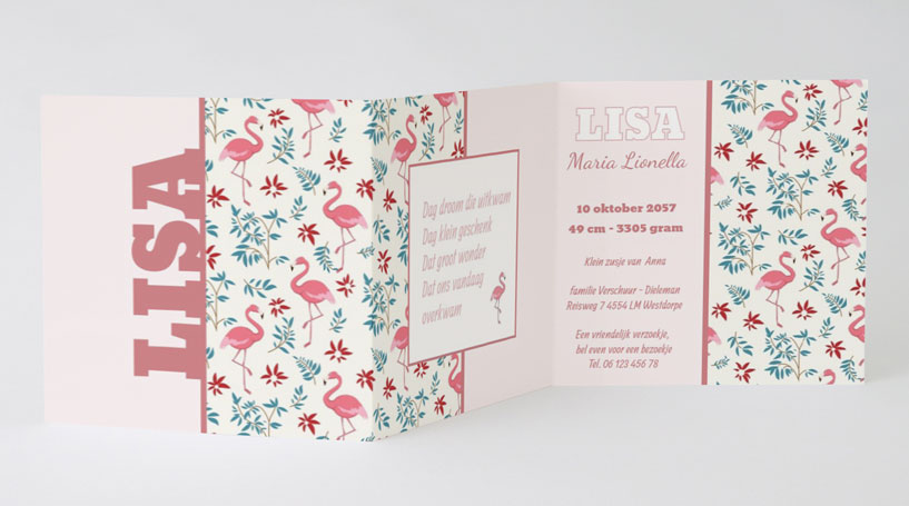 Drieluik kaart "Flamingo's" Drieluik kaart "Flamingo's"