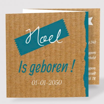 Drieluik kaart "Ster & Bruin karton"