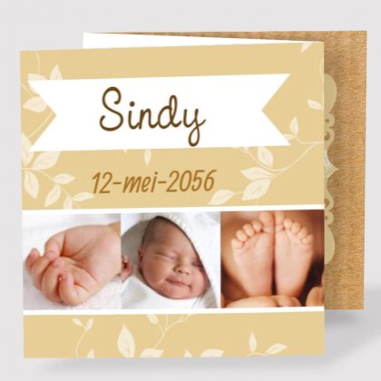 Drieluik fotokaart "Takjes & Kraft" Drieluik fotokaart "Takjes & Kraft"