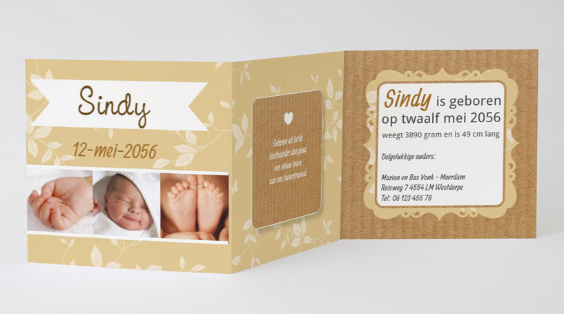 Drieluik fotokaart "Takjes & Kraft" Drieluik fotokaart "Takjes & Kraft"