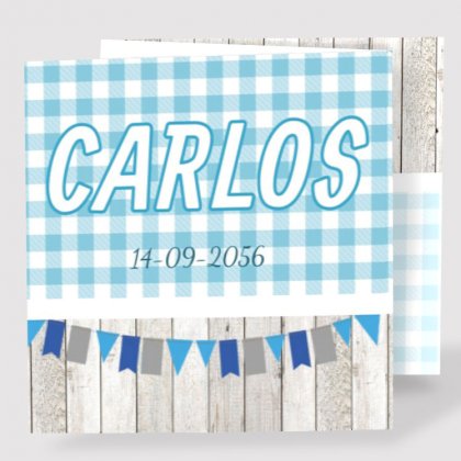 Drieluik kaart "Blauw geruit"