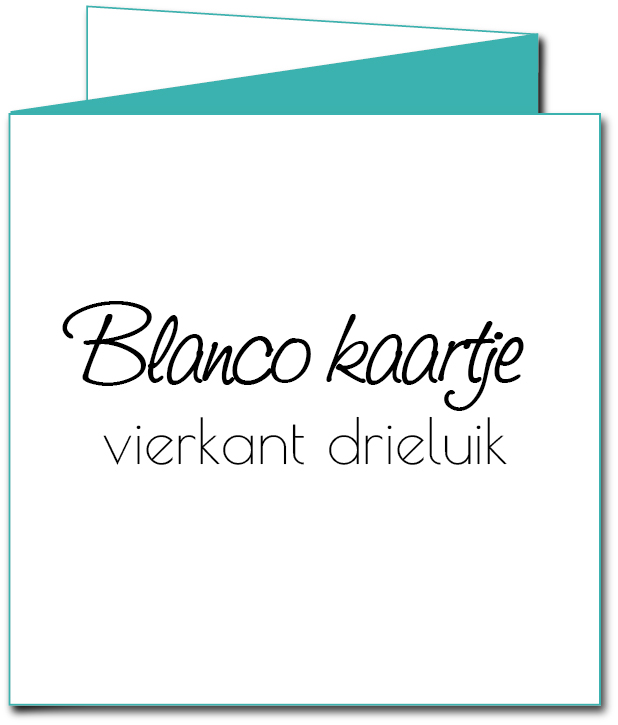 Drieluik kaart "Blanco" Drieluik kaart "Blanco"