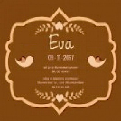 Magneetkaart "Vogels op bruine achtergrond" Magneetkaart "Vogels op bruine achtergrond"