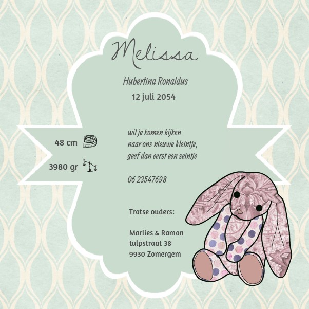 Magneetkaart "konijn op groene achtergrond" Magneetkaart "konijn op groene achtergrond"