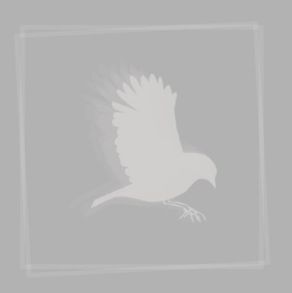 Rouwkaart grijs met vogel in kader en foto aan binnenzijde