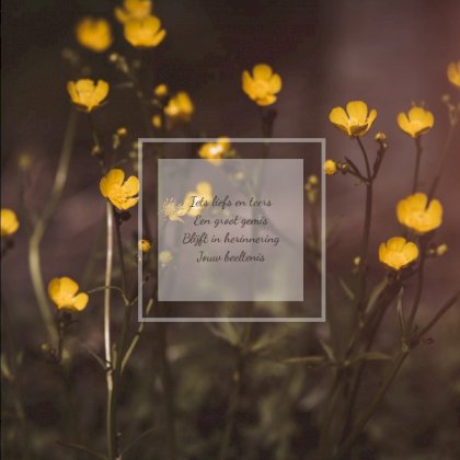 Gevouwen rouwkaart "Boterbloem"