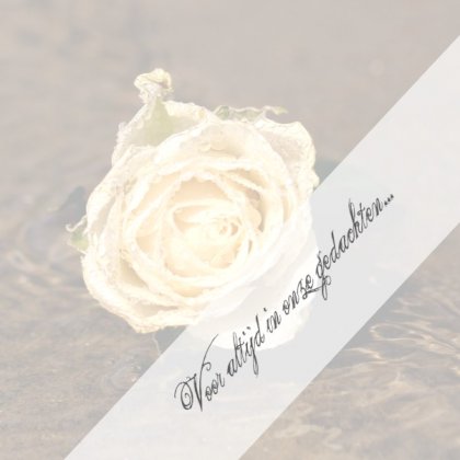 Gevouwen rouwkaart "Roos in het water"