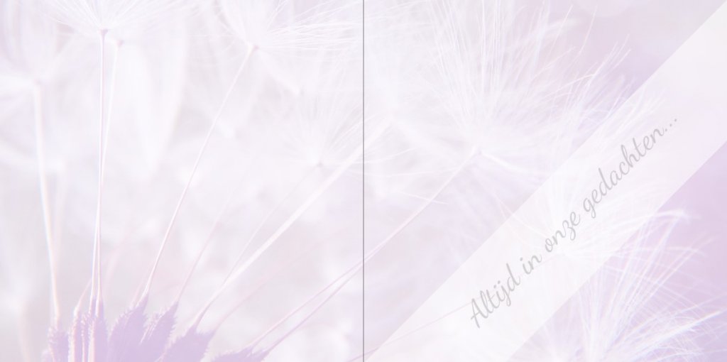 Gevouwen rouwkaart "Paardenbloem paars" Gevouwen rouwkaart "Paardenbloem paars"