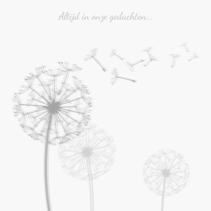 Rouwkaart paardenbloemen op grijs en foto aan binnenzijde