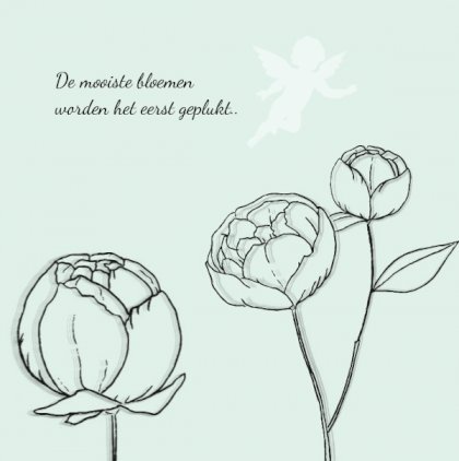 Rouwkaart bloemen met engeltje op groen en foto aan binnenzijde