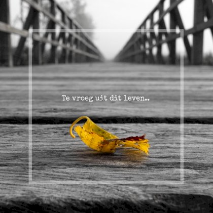 Rouwkaart afbeelding blad op houten brug en foto aan binnenzijde