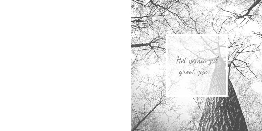 Gevouwen rouwkaart "Bomen zwart/wit" Gevouwen rouwkaart "Bomen zwart/wit"